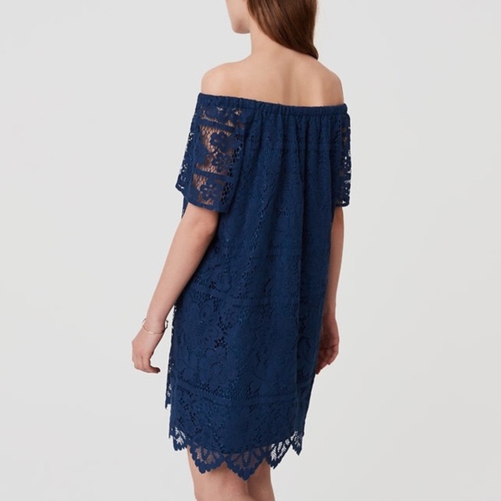 Loft navy blue lace off shoulder dress